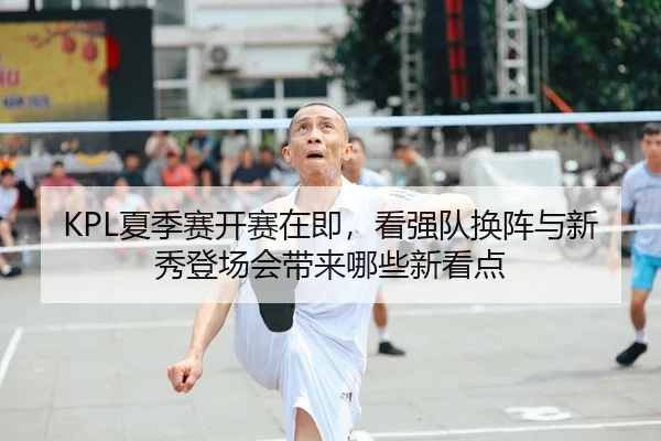 KPL夏季赛开赛在即，看强队换阵与新秀登场会带来哪些新看点